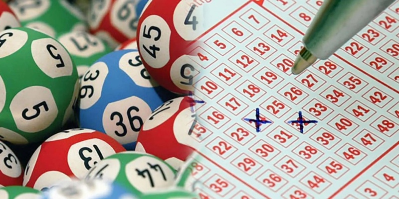 正版澳门天天开彩大全|广泛的解释落实支持计划_冒险版WSAP.8.387
